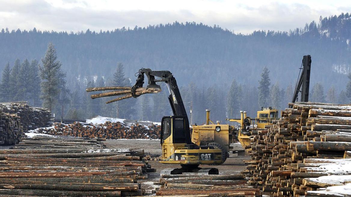 从6900万降到3900万！多条“救市”政策能否保下这个木材出口大省？
