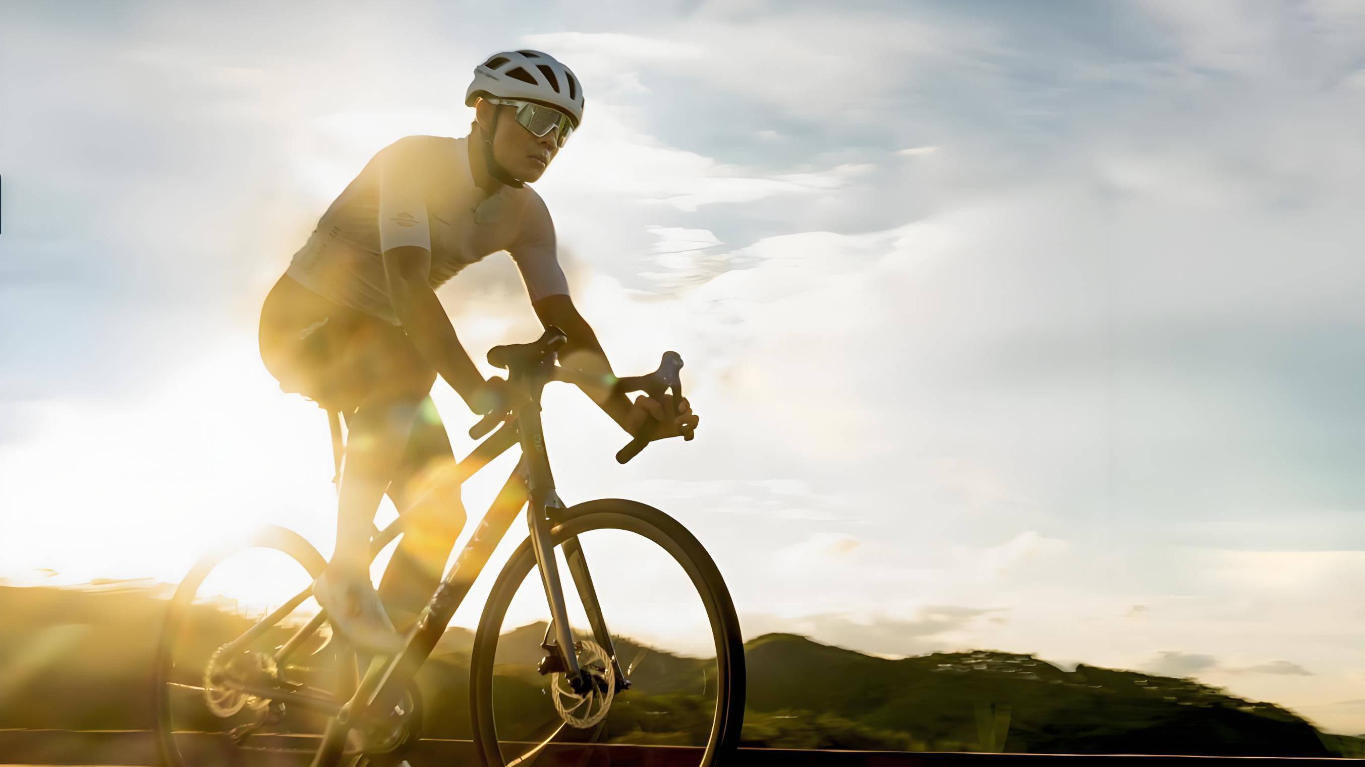 中产最爱的折叠车，靠“大腿”们撑起IPO