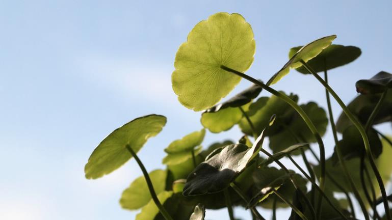 六十岁之后，如果你没有外债，孩子也结婚了，就不要到处去打工