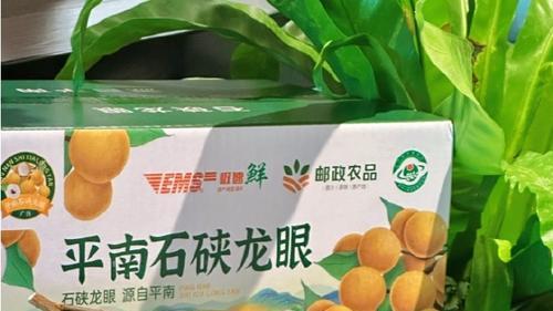 贵港三兄弟，藏着广西最野的逆袭剧本