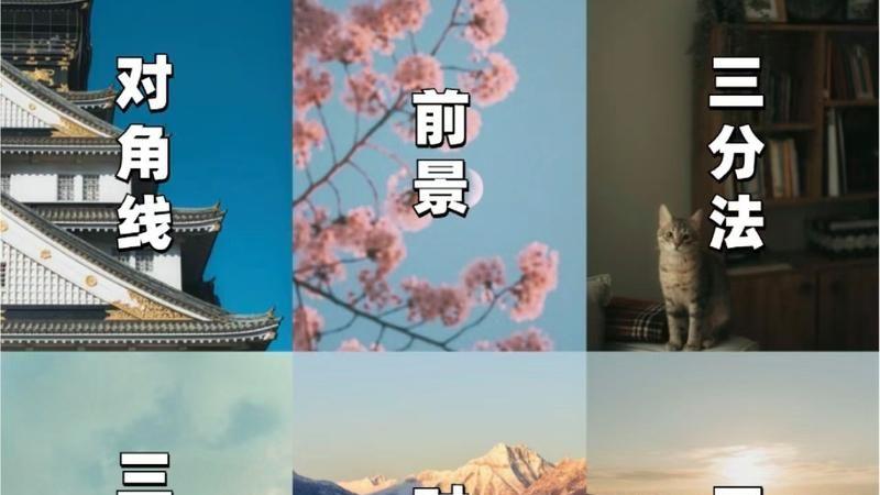 ps常见得10种构图方法，重庆树莓摄影培训学校图片裁剪教学