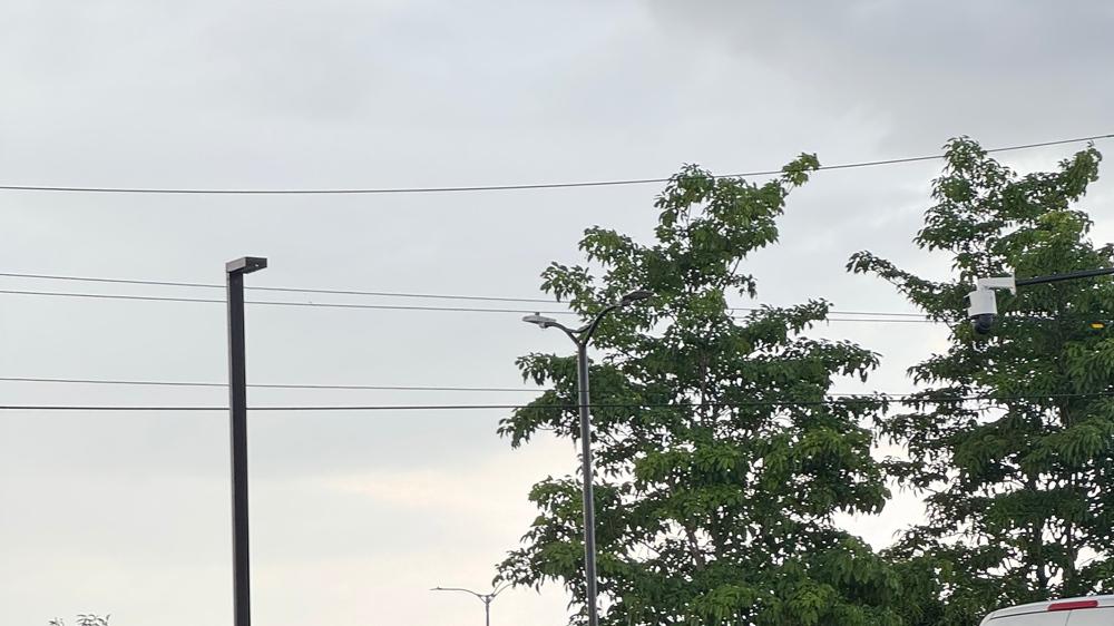 从巴西雨林到联合国，比亚迪用创新赢下绿色未来！