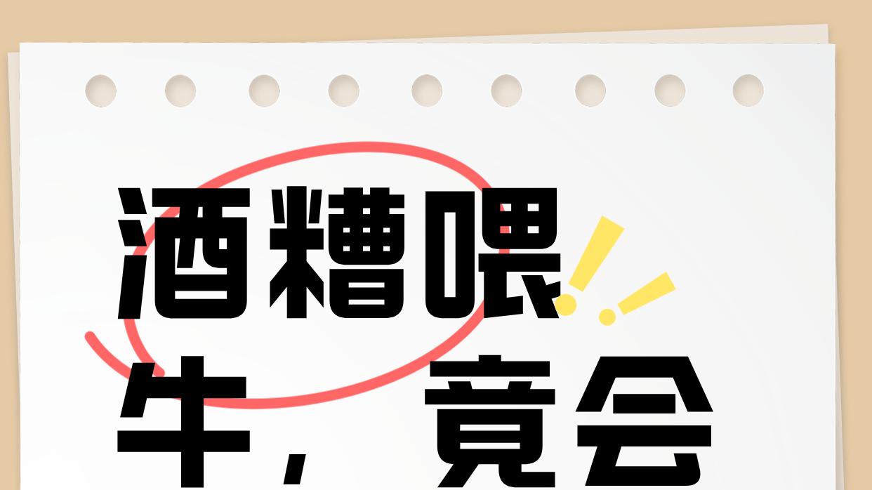 酒糟喂牛，竟会引发打架风波？