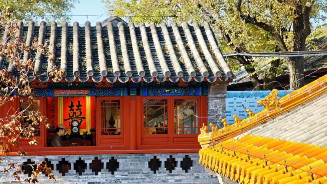 在石景山户外，抓住这场冬日阳光盛宴