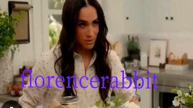 Netflix 网飞首席执行官打破沉默，谈及梅根的未来