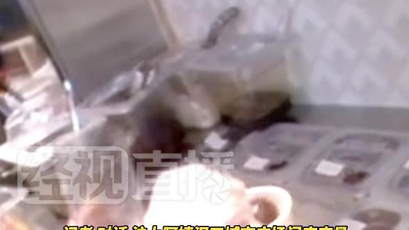 消费降级时代必修课：蜜雪冰城教你如何把危机变成流量密码