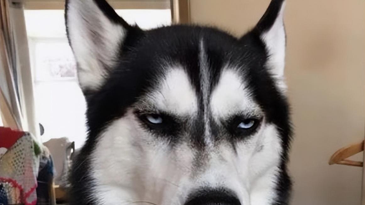 中国周边的7匹狼：都有一个大国梦，他们在等机会，我们不得不防!