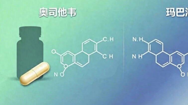 一文看清｜奥司他韦和玛巴洛沙韦如何选？