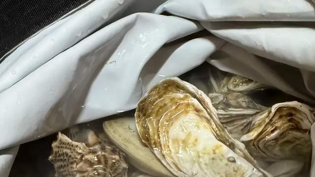 大海馈赠！青岛海滩一夜惊现“海鲜盛宴”，千人提灯夜捡场面壮观