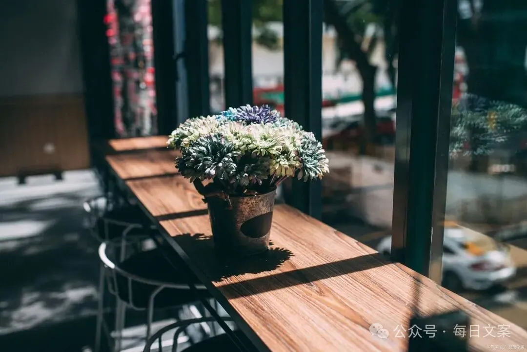 经典的情感语录文案，走心走肾，总有一句打动你的心！