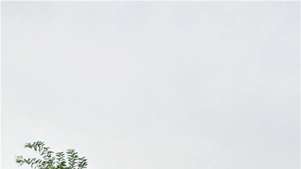 冬去春来——岁月静美