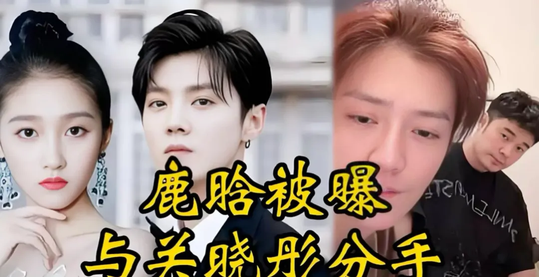 鹿晗在喝酒聚餐，关晓彤在拼事业