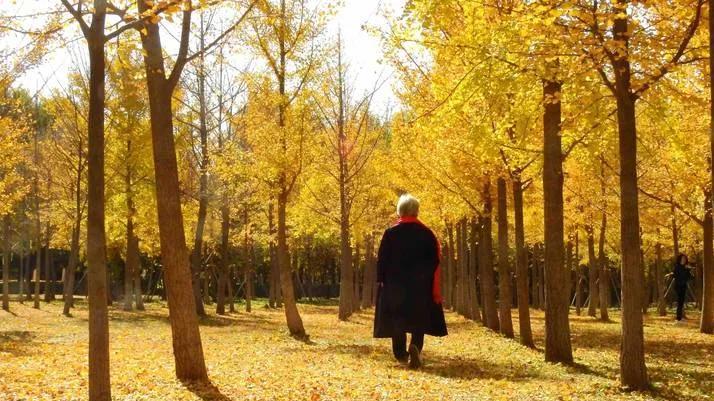 存款达到20万，千万别告诉子女