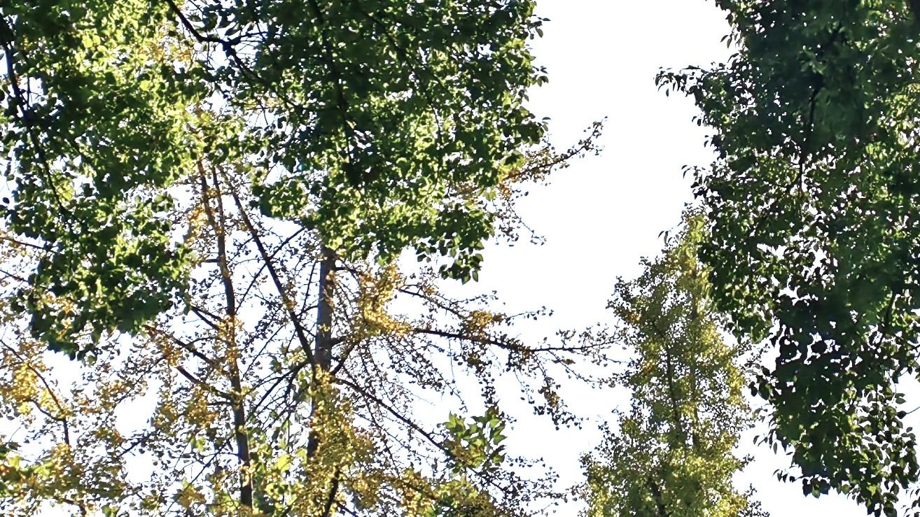 人在职场：不再旁观，勇敢进场