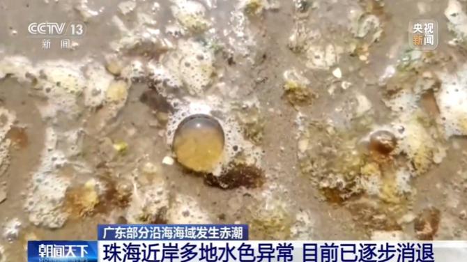 密密麻麻，可能带病菌！一地提醒：千万别碰