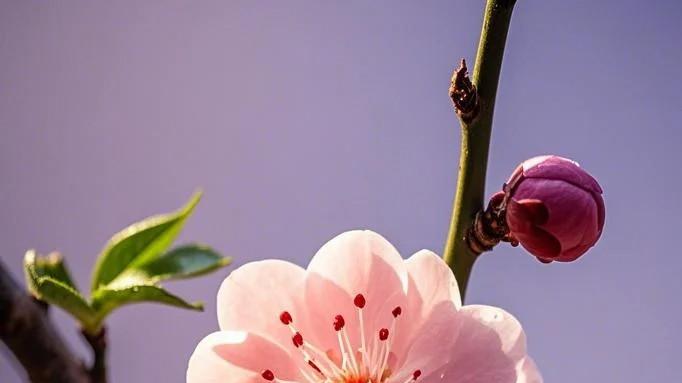 15句人生语录，让你瞬间觉醒！