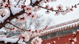 冬至·焕新仪式：一份简明的肌肤重启指南