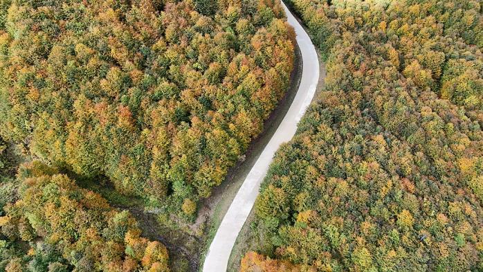 蝴蝶大乐透25120期分析，本期适当关注热码，具体分析查看文章