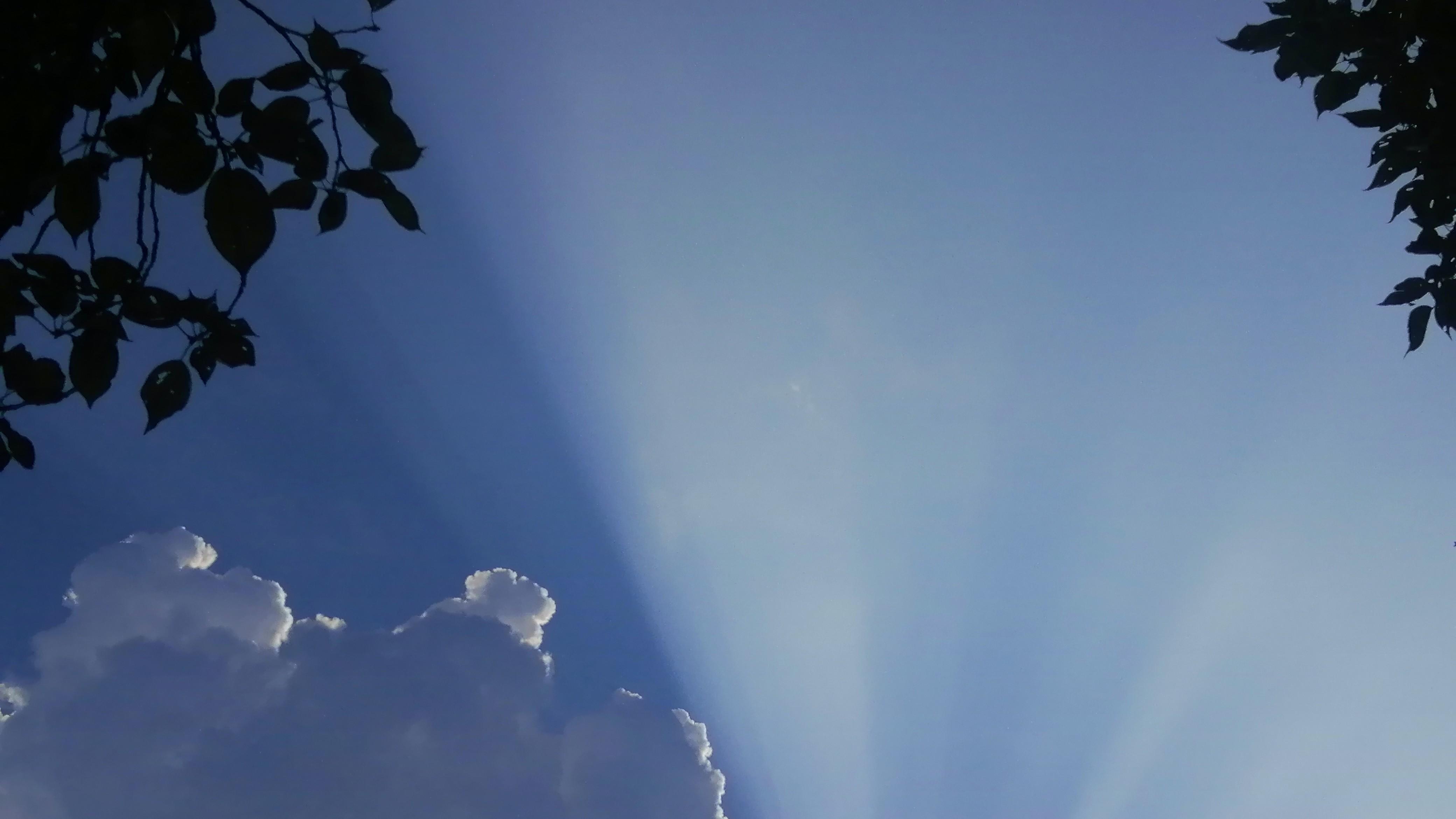 未来十天，贵阳气温先升后降