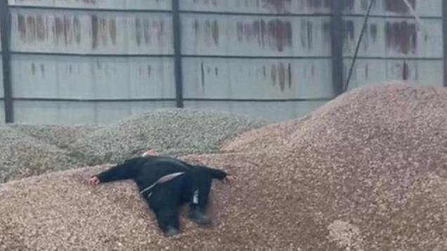 解清栋因年底公司没钱崩溃大哭，母亲心疼训斥丈夫帮外人不帮儿子