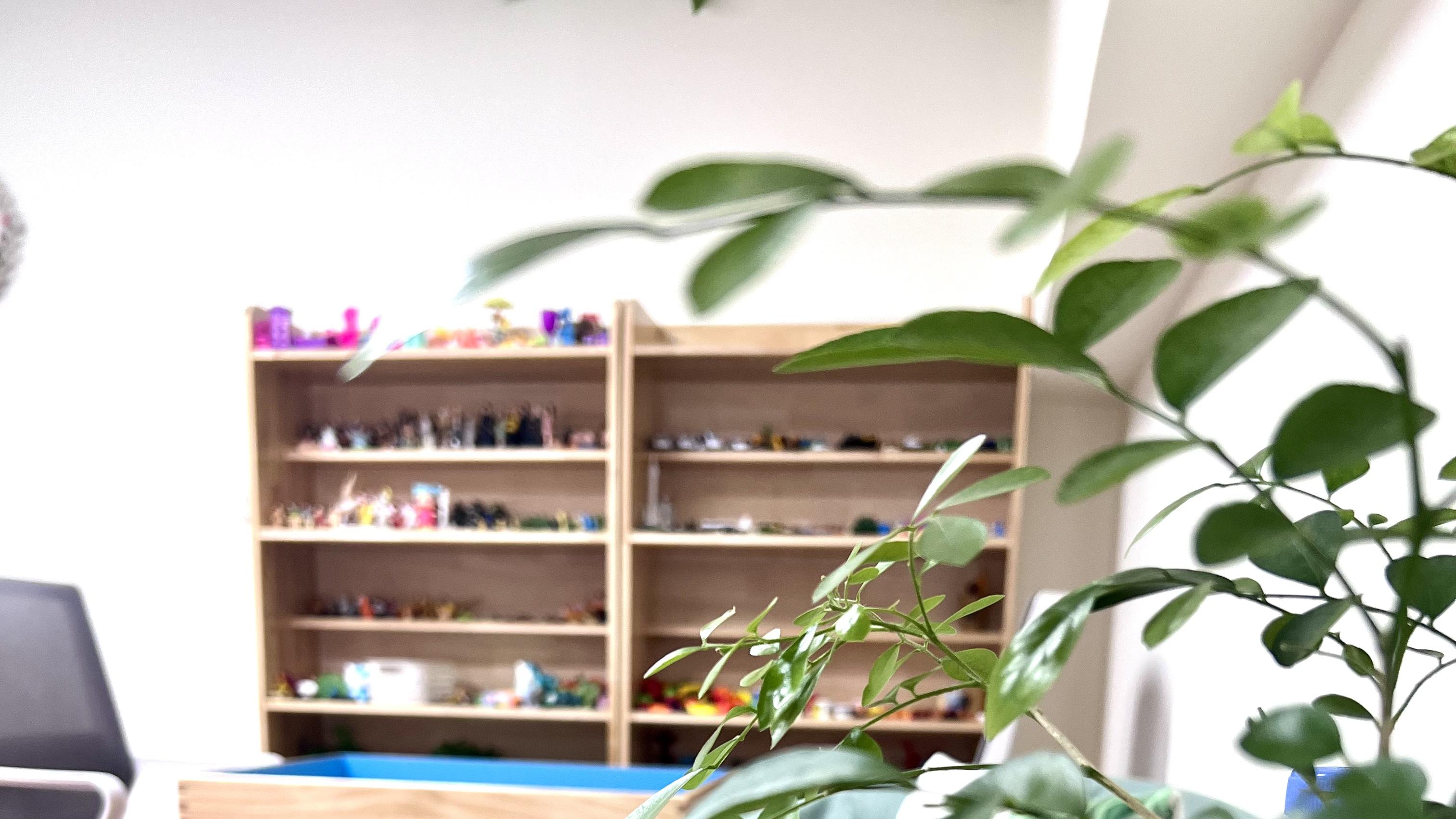 南京心理咨询中心观察：森知，行业浮躁中的“坚守者”