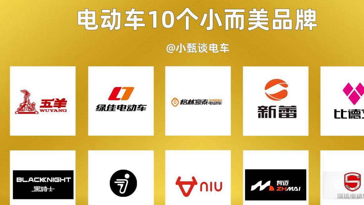 别再掉入“消费陷阱”！2025年电动车选择这10个品牌，价低且耐用