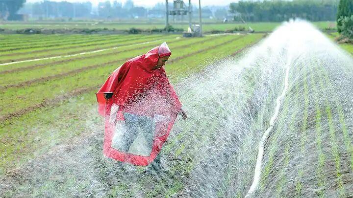 小麦不冬灌，产量减一半！越冬水浇对有技巧，3个“看”字要记牢