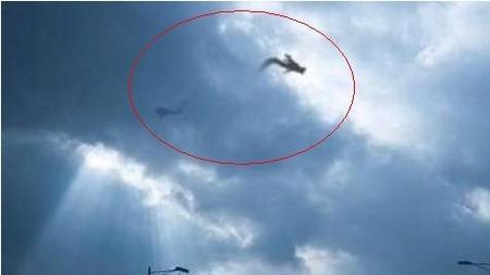 青海湖“真龙”疑云：传说与现实的碰撞