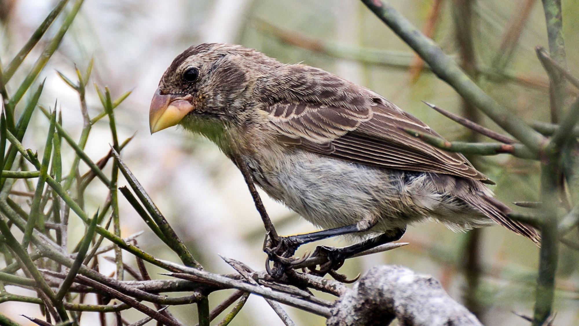 地球上如此丰富多彩的生命，到底是怎么来的？