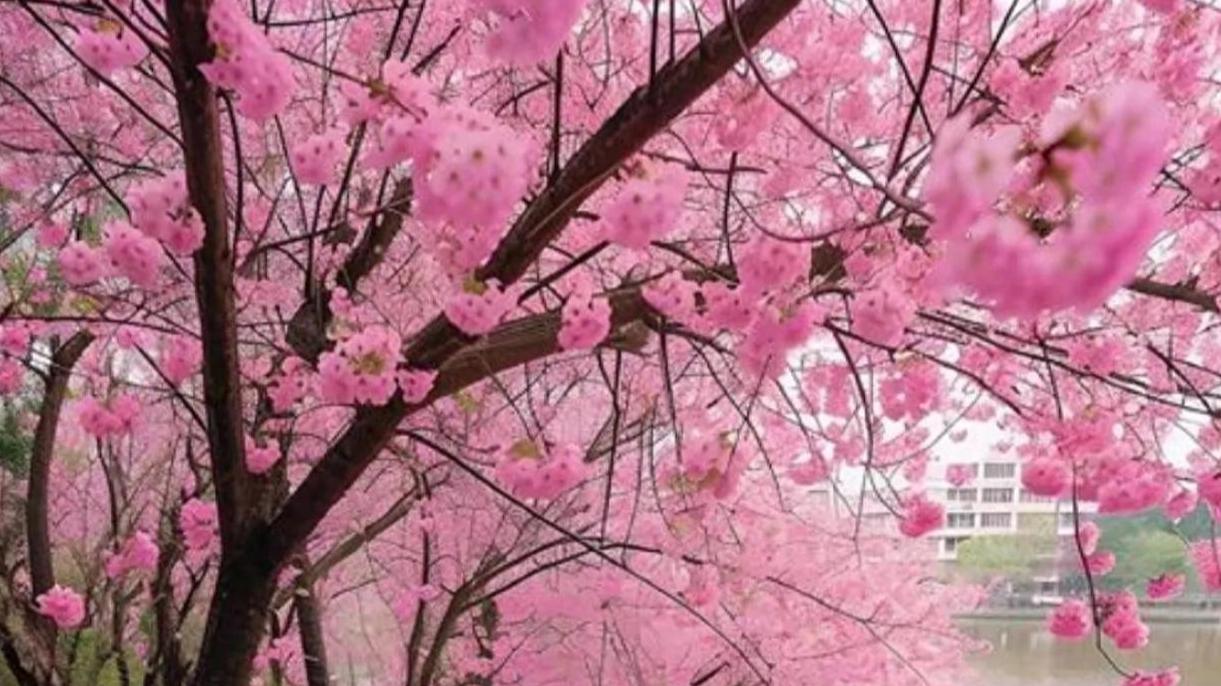 揭开60岁父母不懈支持子女家庭的背后原因