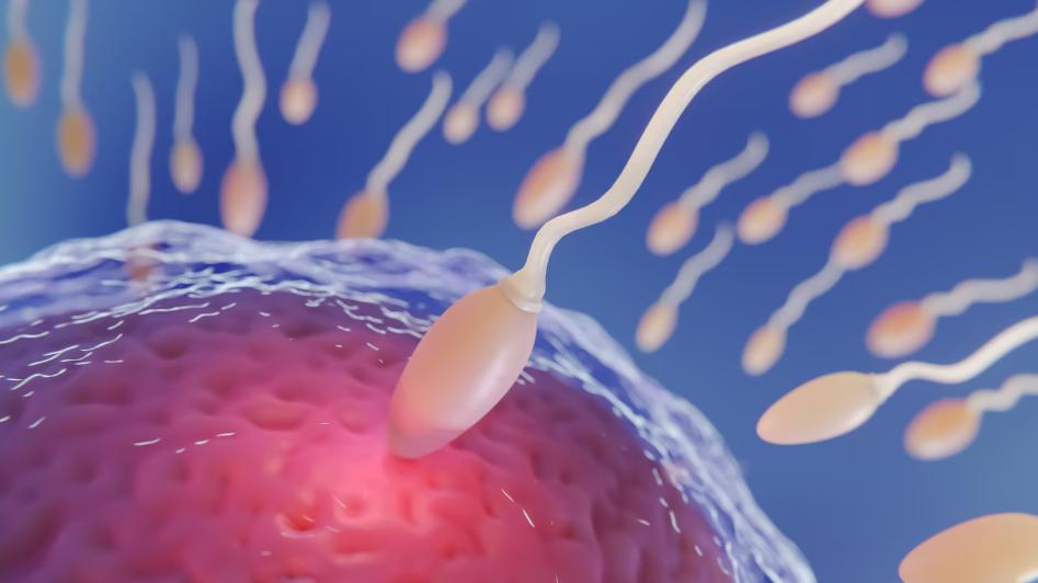 老公精子好不好，用眼睛就能看出来！