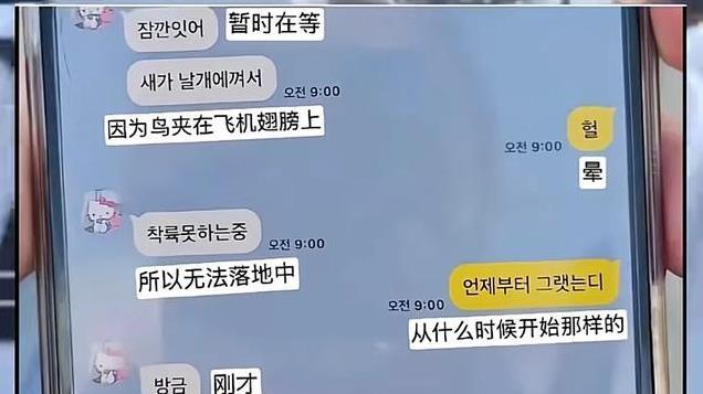 韩客机后续！航空专家回应，重要消息传来，乘客留言曝光更揪心了