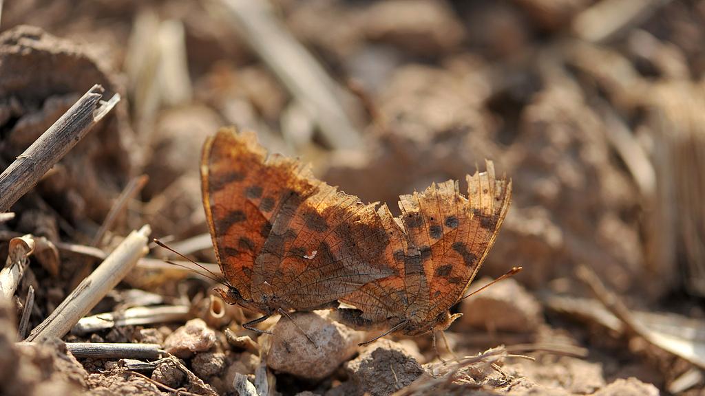 人死后，有必要风光大办吗？