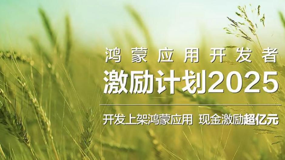 你的应用“卡”在鸿蒙市场审核？可能这些细节没做对