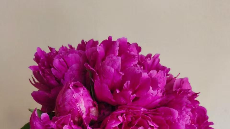 爱情里的“作”：那些藏在任性背后的渴望