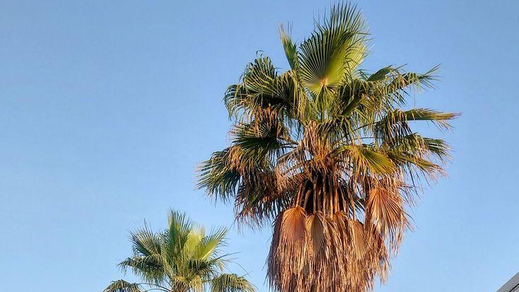 每个人的故事，都在草稿里修改