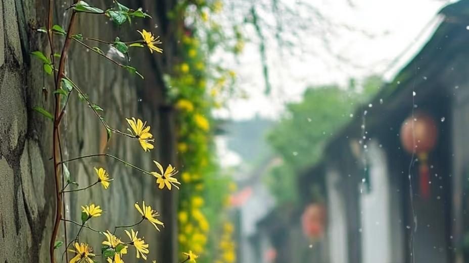 每个年龄阶段的烦恼和快乐