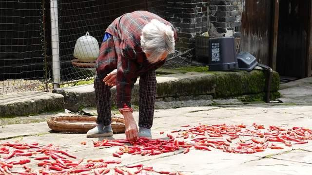 带孙七载，一句问话让我明白：我该回家了。