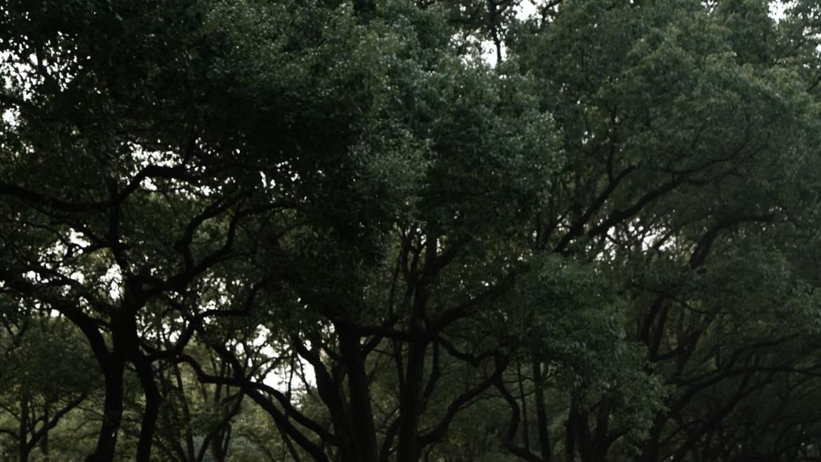 论车内娱乐，飞行家从不让谁失望