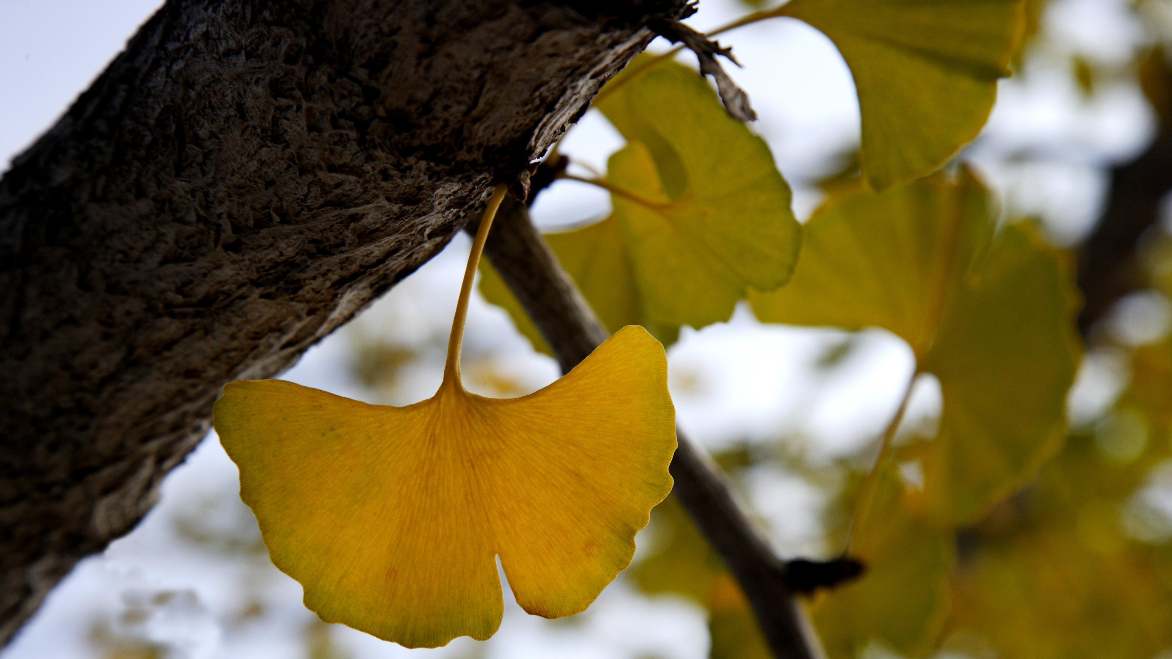 中国经济卷向更聪明的未来