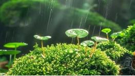 异性之间：一个能影响你心情的人，说明你在乎了。一个能左右你情绪的人，说明你入心了。