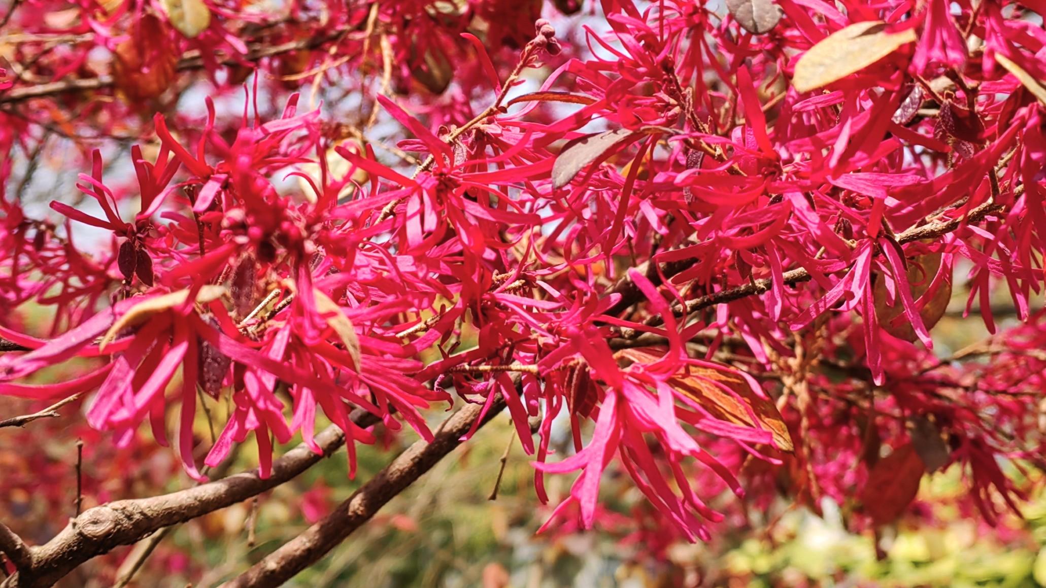 工作是否积极，不能只看动静