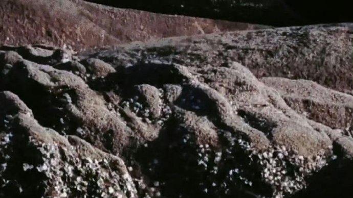 即将播出的15部高甜高颜值偶像剧，一部比一部好看，你们期待谁？