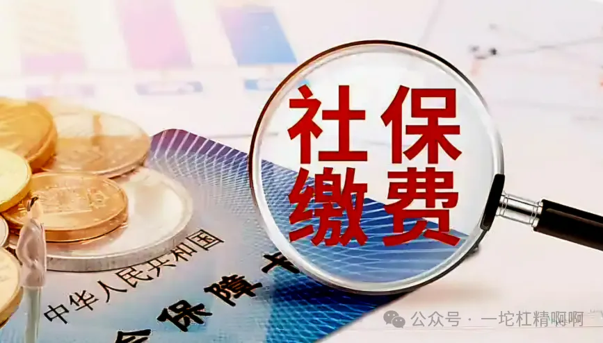 2026社保又双叒叕该交了，你如何选择？