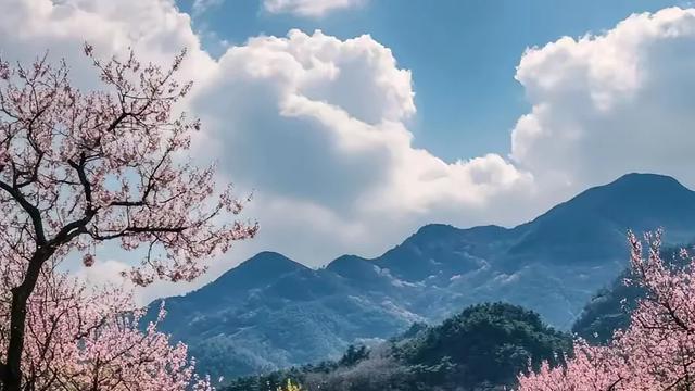 春日漫步，繁花小径中邂逅自然，浪漫旅行体验