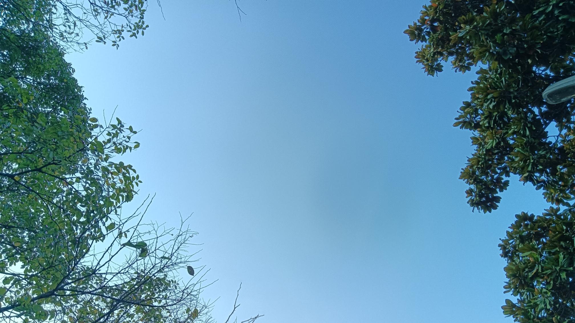 副高教师要想进5档必须具备这个硬件条件，这5档的含金量是真的高