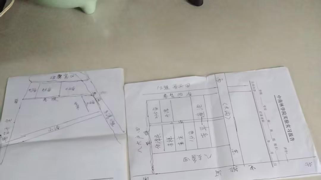 湖北江陵一农户反映2014年土地调整权益受损 多年维权盼合理解决