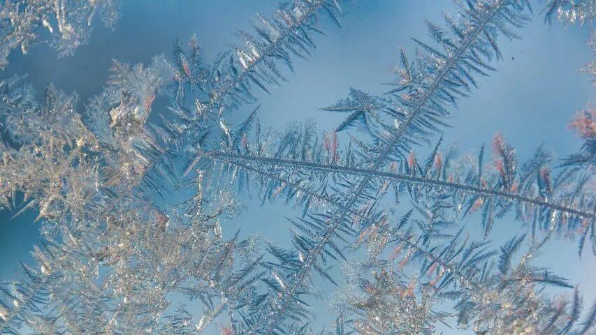 最近家电市场上怨气火气有点多！