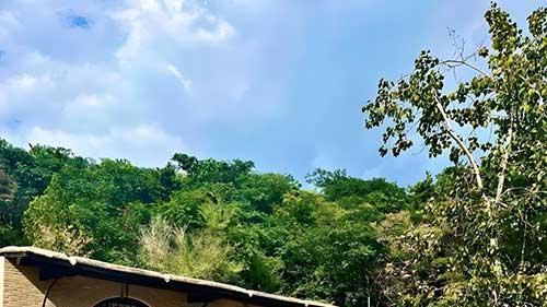 西柏坡党建课为何刷屏? 3招让支部战斗力飙升