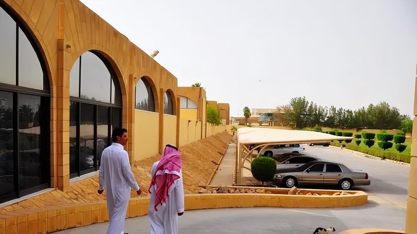 农村小伙二婚与中东姑娘喜结连理，岳父赠送别墅做陪嫁，小伙为何忐忑不安？